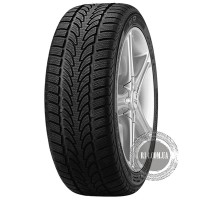 Шина Nokian WR 225/50 R16 96V XL