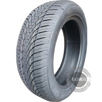 Fronway IceMaster I 225/55 R16 95H