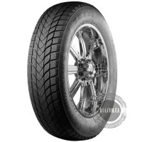 Шина Zeta Antarctica 5 185/65 R15 88T